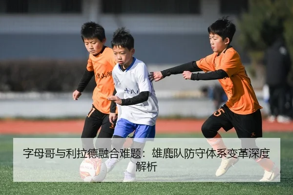 字母哥与利拉德融合难题：雄鹿队防守体系变革深度解析