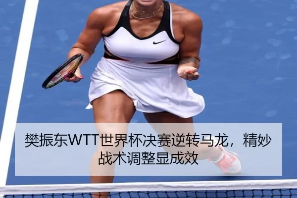 樊振东WTT世界杯决赛逆转马龙，精妙战术调整显成效