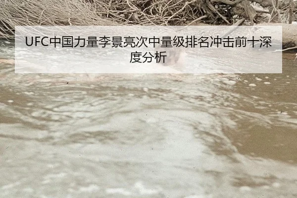 UFC中国力量李景亮次中量级排名冲击前十深度分析
