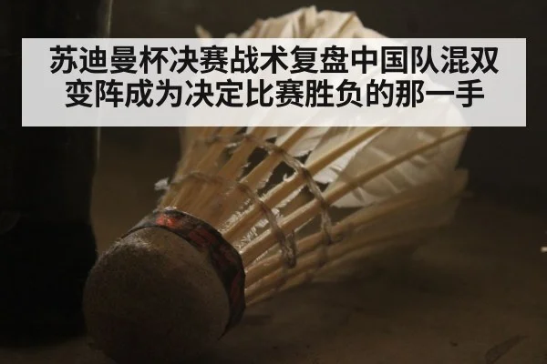 苏迪曼杯决赛战术复盘中国队混双变阵成为决定比赛胜负的那一手